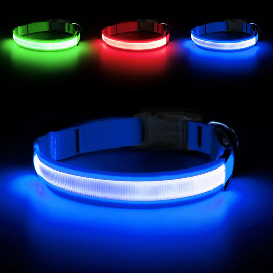 LED Dog Collar — Rechargeable, Night-Safe Design (Royal Blue Large
